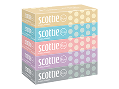 スコッティティッシュ　ファン120組5箱パック